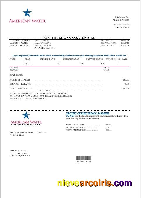 USA Georgia American Water business utility bill